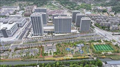 拎包即可入住! 月租价850元起的枫巢公寓开始营业 